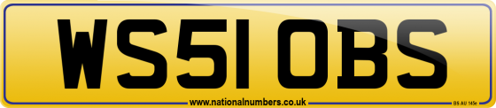 WS51 OBS