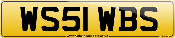 WS51 WBS