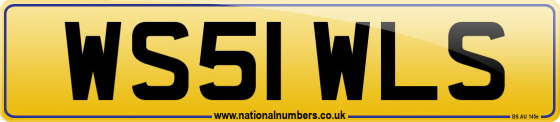 WS51 WLS