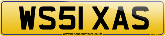 WS51 XAS