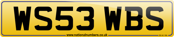 WS53 WBS
