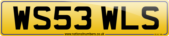 WS53 WLS