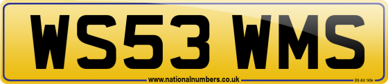 WS53 WMS