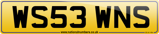 WS53 WNS