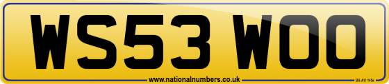 WS53 WOO