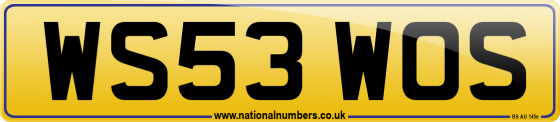WS53 WOS