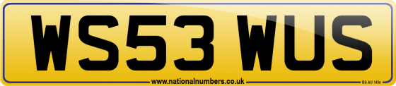 WS53 WUS