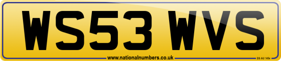 WS53 WVS
