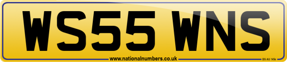 WS55 WNS