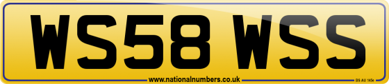 WS58 WSS