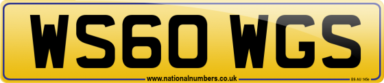 WS60 WGS