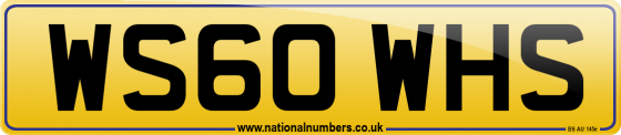 WS60 WHS
