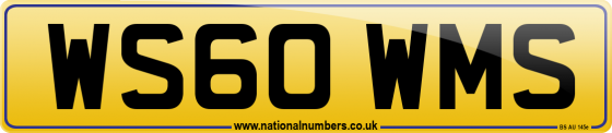 WS60 WMS