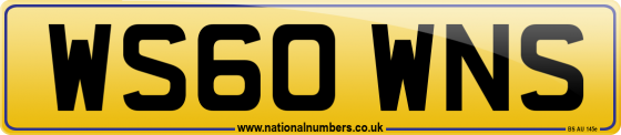 WS60 WNS