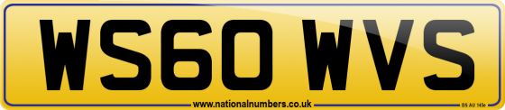 WS60 WVS