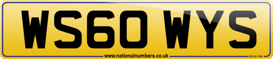 WS60 WYS