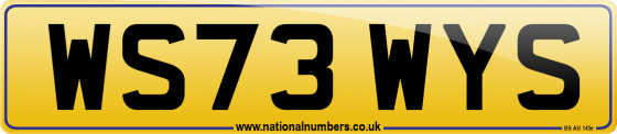 WS73 WYS