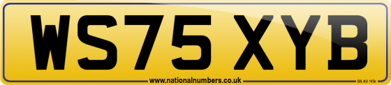 WS75 XYB