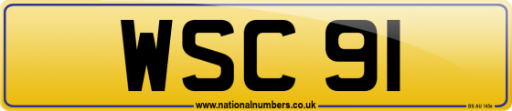 WSC 91
