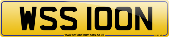 WSS 100N