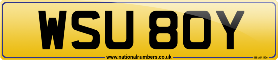 WSU 80Y