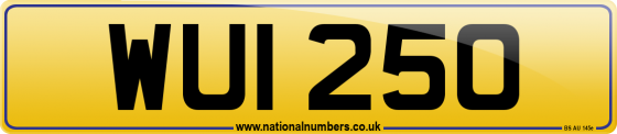WUI 250