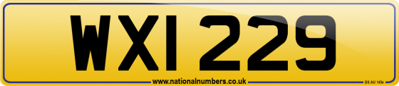 WXI 229