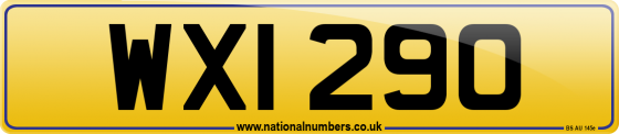 WXI 290