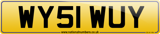 WY51 WUY