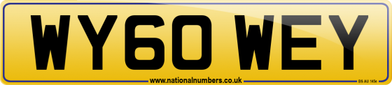 WY60 WEY
