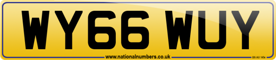 WY66 WUY