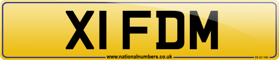 X1 FDM