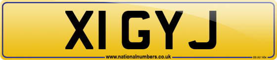 X1 GYJ