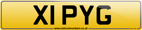 X1 PYG