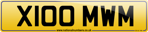 X100 MWM