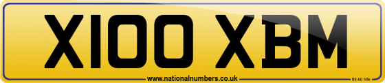 X100 XBM