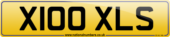 X100 XLS