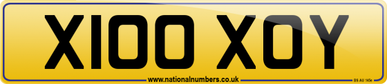 X100 XOY