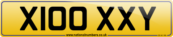 X100 XXY
