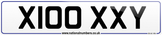 X100 XXY