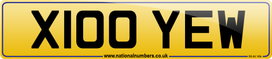 X100 YEW