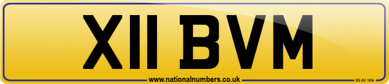 X11 BVM