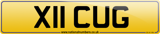 X11 CUG