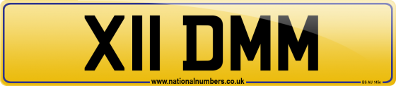 X11 DMM