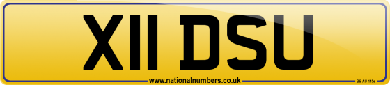 X11 DSU