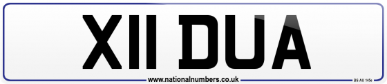 X11 DUA