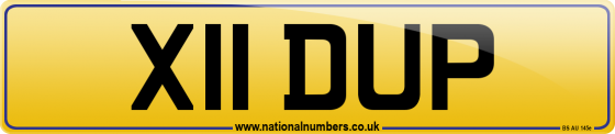 X11 DUP