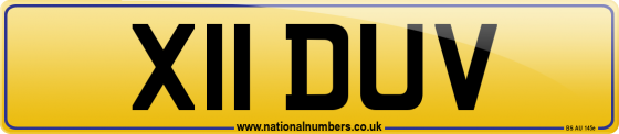 X11 DUV