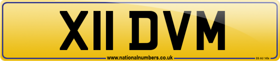 X11 DVM