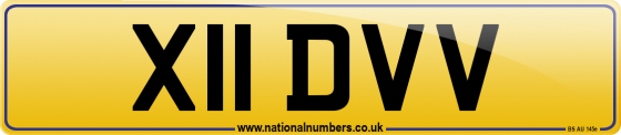 X11 DVV